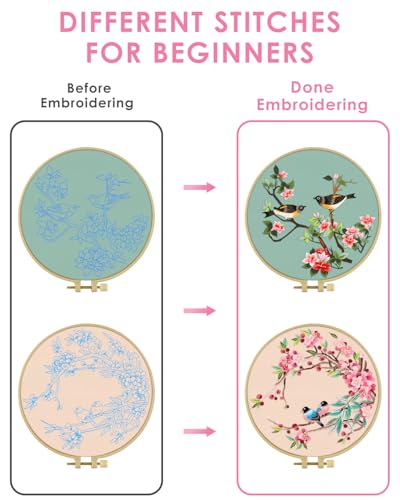 Image of TINDTOP Embroidery Kit for Adult, Owl Embroidery Kit for Beginners | Include Embroidery Cloth Hoops Threads for Craft Lover Hand Stitch with Embroidery Skill Techniques (Bird)