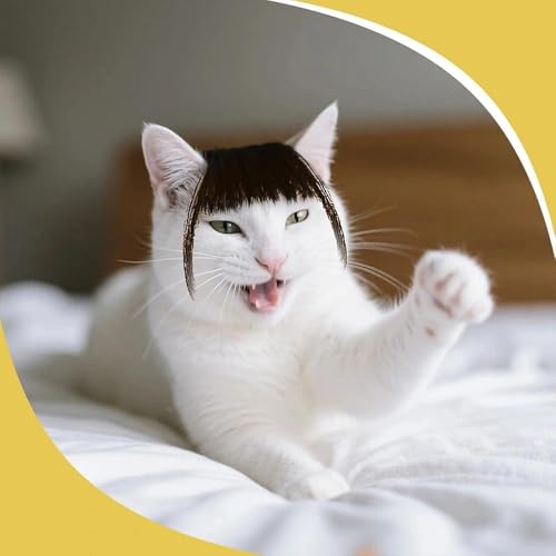 Peluca divertida para perros y gatos cosplay miniatura 4