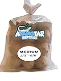Avangtar Reptiles 200 Medium Dubia Roaches - Feeder Insects for Bearded Dragons – 2-Day Shipping
