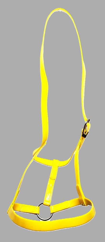 PVC Horse Underhalter Driving Headcollar Soft Comfort Fit Stainless Steel Yellow Full Cob Pony (Cob)