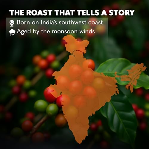 Image of THIRD WAVE COFFEE Monsoon Malabar Coffee, Arabica, Medium Roast, Medium Grind for Aeropress Brewing, 250g