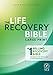 Tyndale NLT Life Recovery Bible (Large Print, Softcover) 2nd Edition - Addiction Bible Tied to 12 Steps of Recovery for Help with Drugs, Alcohol, Personal Struggles - With Meeting Guide