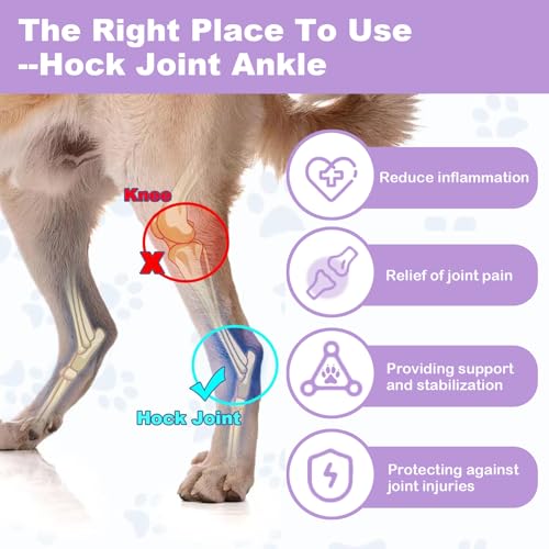 Image of Short Rear Leg Braces for Dogs, Dog Leg Brace for Joint Injury, Sprain Protection, Wound Healing and Loss of Stability from Arthritis, Dog Leg Sleeve with Flexible Straps for Post-Op, 1 Pair, Large