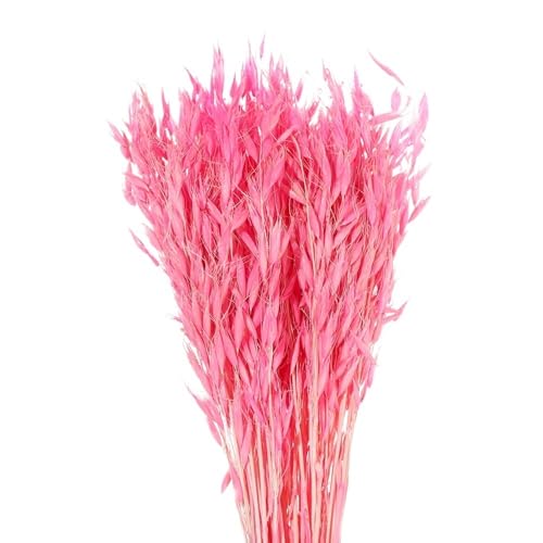 Pampas Grass Large 25/50Pcs Colorido Natural Ramos Secos miniatura 1