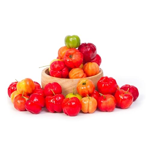 Genérico, Muda de Acerola Doce 50 a 80cm AMK - Plantas Online