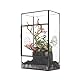 NCYP Rechteckiges Glas Terrarium mit Seitentür und DREI Belüftungslöchern handgefertigt, 13x10x23cm Schwarzes geometrisches Terraium für kleine Insekten Haus Garten Dekoration (nur Terrarium)
