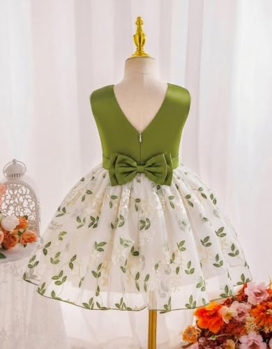 Image of Tagas Girls' Princess Dress | Girl Dress |Dresses birthdaydress for Babygirls | A-Line Knee-Length Dress