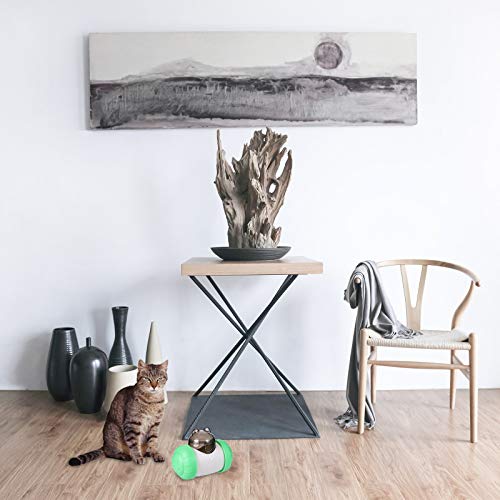 TEHAUX Alimentador de quebra-cabeça de animal de estimação Brinquedo de quebra-cabeça de animal de e