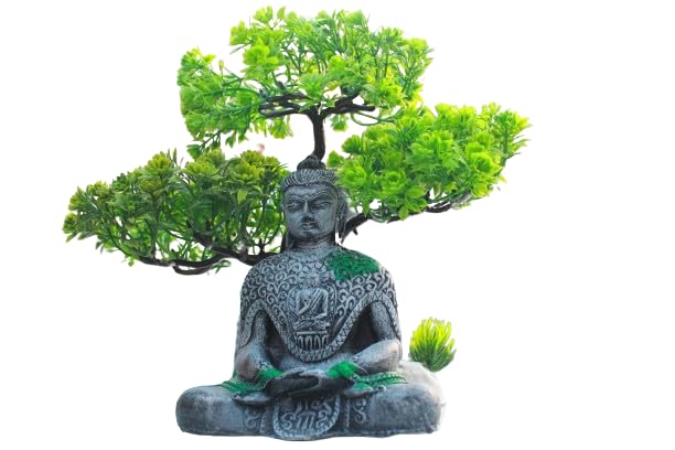 Shirlip Natural Looking Aquarium Plant, Artificial Plastic Plant Used for Fish Tank, Household and Office Decoration (B0CV4BR9PD) Amazon Price History, Amazon Price Tracker