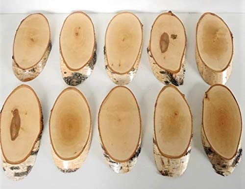 10 carteles de madera de abedul para trofeos con cornamenta, cornamenta, disco de árbol, cartel de madera natural, moderno con compartimento de pino