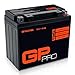 Produktbild GP-PRO GB16L-B 12V 17Ah GEL-Batterie (Kompatibel mit YB16L-B / 51911) (Wartungsfrei & Versiegelt) Akkumulator Motorrad Motorradbatterie für u.a. Kawasaki GPZ 1100