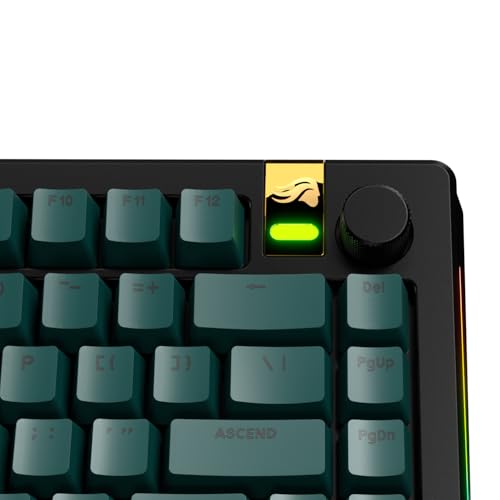 Image of GLORIOUS Gaming - GPBT Basics (PBT Keycaps), Totem Green, No Fade Dye-Sublimated, for Custom Mechanical Keyboards, Fits 100%, 75% 65% 60%, Fits ANSI & ISO, Supports Windows & macOS - English (US)