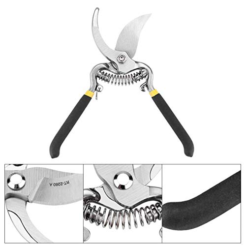 Tijeras de podar GeRRiT acero carbono 8'' para jardín miniatura 2