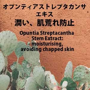 Amazon.co.jp: ヒルコス(helcos) Ajnソープ1000mL Ajnクリアーナ