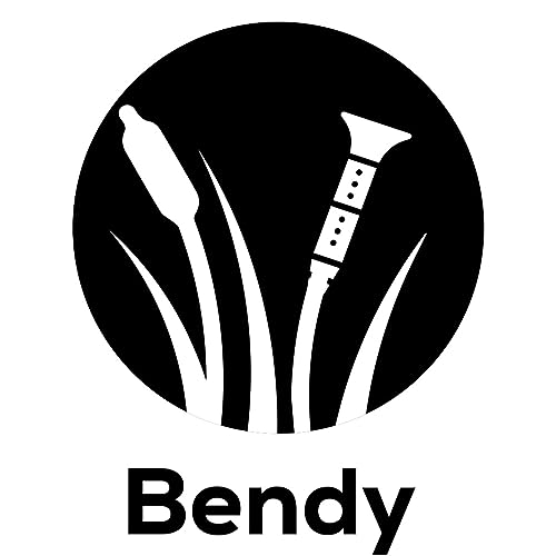 Learning with Leaders: Social Selling