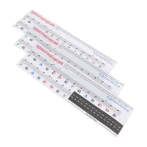 OSOLADY 3 fBJpXebJ[ yʃRpNgŔS SҌsAmV[ ՗KT|[g JԂgp\ŐՂc