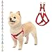 No Pull Dog Harness Adjustable Basic Nylon Step in Puppy Vest Outdoor Walking Chest Girth 14.8"-26" Small PUPTECK