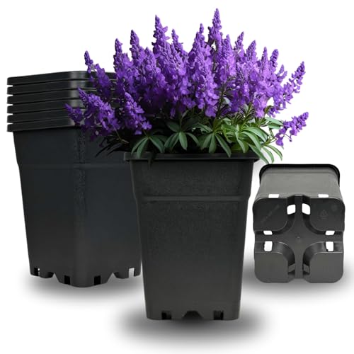 Cultonix Viereckiger Blumentopf 7L | Pflanztopf eckig Kunststoff, Anzuchttöpfe für Balkon & Terrasse, Blumentöpfe Indoor Outdoor, Einsatz für Pflanzkübel groß außen