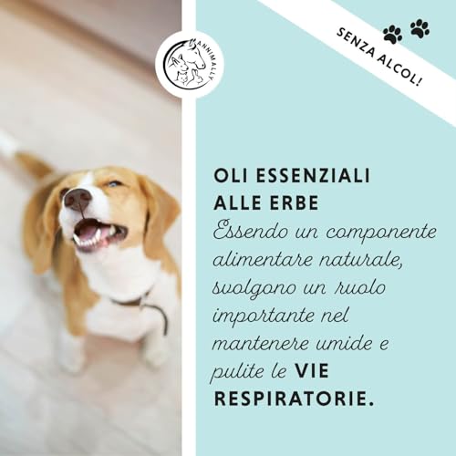 Annimally Liquido Bronchiale Per Cani I Bronchial Plus 100Ml Succo Per Le Vie Respiratorie Dei Cani - Ricco Di Timo, Echinacea, Salvia E Altre 9 Erbe Respiratorie - 3