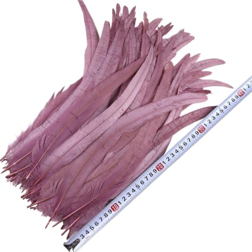 Decorative Feathers Rooster Tail Feathers 50PCS 35-40CM Natural