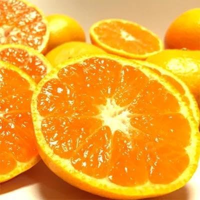 [先行予約]大粒 有田みかん 約10kg[MS16]