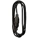 Master Electrician 02210ME 15-Feet Round Vinyl Extension Cord, Black (2-Prong)