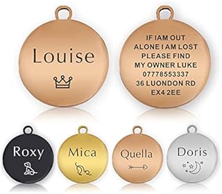 ID Tag Small Large Personalised ID Tag for Pet Dog Doggy Cat Kitten Kitty Puppy Engraved Dog ID Tag (Gold Bone)