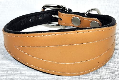 Greyhound Podenco Halsband, Halsumfang 26-32cm, 32-38 cm, 35-41cm, 40-47cm, 40-50cm Leder, Cognac- Schwarz (26-32cm/35 cm)