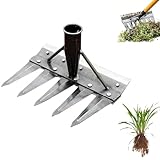 RJSQAQE Dual-Purpose Iron Rake & Garden Hoe for Gardening and Weeding, Ironrake Heavy Duty Iron Weeding Hoe, Rake for Dethatching Lawn, Garden Weed Puller Tools for Backyard Lawn Loosening (5 Teeth)