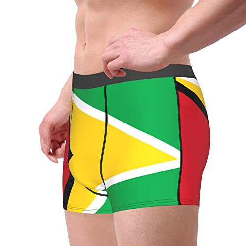 Florida Flag Mens Boxer Briefs Underwear Breathable Stretch Boxer Trunk with Pouch for Men, Youth4