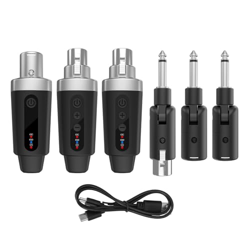 Sistema inalámbrico de micrófono LiebeWH 2.4G: transmisor y receptor XLR para micrófonos dinámicos, consolas de mezcla e instrumentos musicales (1 a 2) miniatura 1