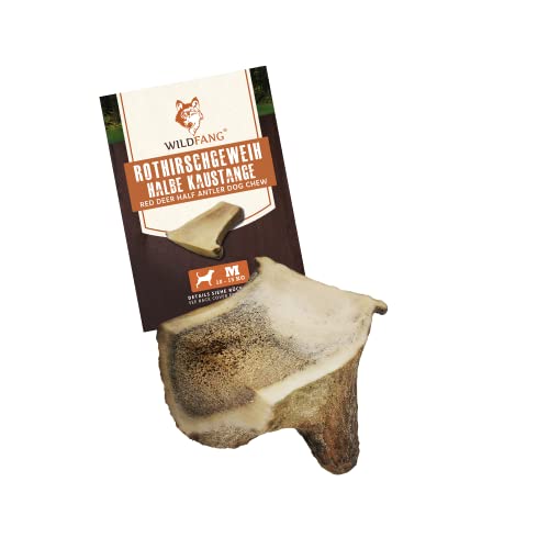 Wildfang® | Demi Perche Bois de cerf Rouge (Nature) os à mâcher | Soins dentaires & entraînement des Muscles masticateurs I à Long Terme | Bois de cerf | Chiens à mâcher - M pour Chiens 10-15 kg Cover
