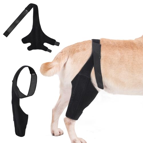 Dog Knee Brace with Adjustable Supportfor ACL & CCL Tears, Patellar Dislocations, Arthritis - Protects Joints for Return to Walking, Provides Extra Support, Reduces Pain and Inflammation, Small