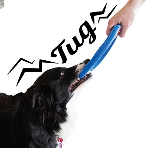 Wo Play 8 Inch Green Disc Durable Usa Fetch All Breed Dog Toy Frisbee #TOP3