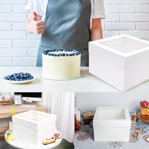 Tlczrva Tortenkarton,5er-PackTortenbox Set, Kuchenbox,Tortentransportbox，weiße Tortenschachtel mit Fenster und 5 Kuchenrunde Bretter, Kuchenkarton für Torten, Gebäck（25.4 * 25.4 * 20.3）