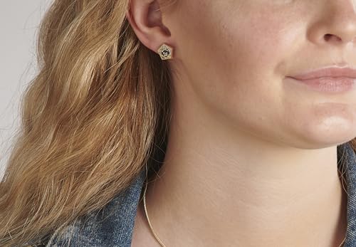 Official Harry Potter Chocolate Frog Gold Plated Stud Earrings WES01573