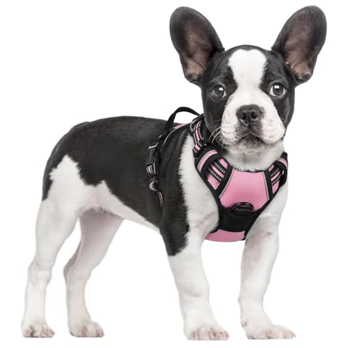 Image of rabbitgoo Dog Harness No Pull with 2 Leash Clips, Adjustable Soft Padded, Reflective Oxford No Choke Pet Vest with Easy Control Handle for Small Dogs, Pink, S