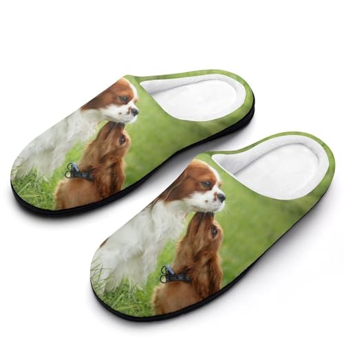 [STEBVI] Xbp  킢 LoA XpjG [V[Y  nEXXbp  Y fB[X  ~ g 􂦂 qp p jp v[g