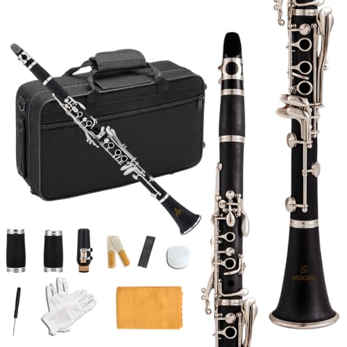 HOGSN clarinet in B flatbeginners performance professional playing instrument with box cleaning kit.