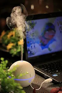 SPT SA-028 USB Globe Ultrasonic Aroma Diffuser/Humidifier