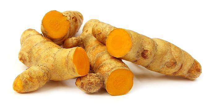 Orgnic Turmeric (Haldi) Seeds (Turmeric Roots) Haldi seeds for planting (11 seeds) by Ekam farms (B0CW32CJ1S) Amazon Price History, Amazon Price Tracker