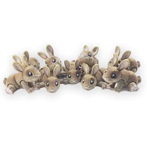 Amazon.com: Fidget bunny rabbit toy 3d Printed Articulated Toy Easter ...