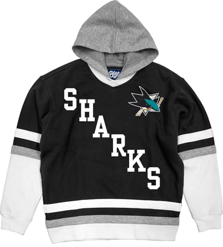 Blue 84 Standard NHL Officially Licensed Hockey Hooded Sweatshirt Felt Embroidery Team Color