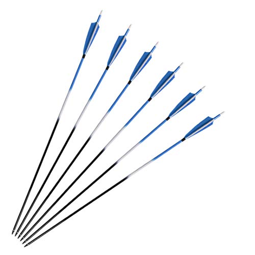 Feather Arrows 31" Archery Hunting Arrows Carbon Targeting Practice Feather Fletching Arrows for Recurve Bows and Longbow with Removable Tips