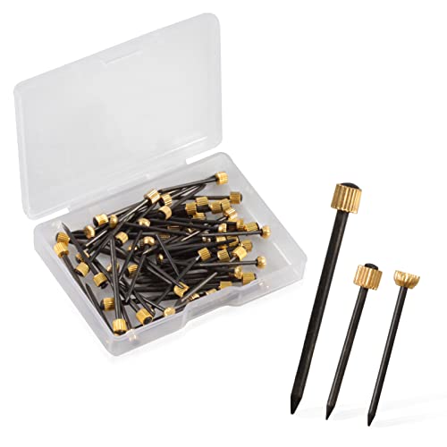 Image of SPEEDWOX 60 Pcs Picture Hangers Black Steel Nails and Brass Head Frame, Picture Hanging Nails for Hanging Picture Painting with Plastic Storage Box Holds Up to 5-30 lbs(3 Sizes)