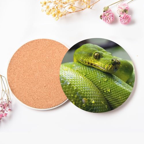 Sous verre serpent python vert en céramique pour apéritif convivial nature lot de 6