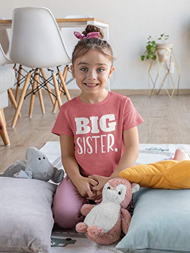 Big Sister Shirt Big Sister Announcement Toddler Shirts Promoted to Girls Outfit4