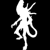JIFENLI