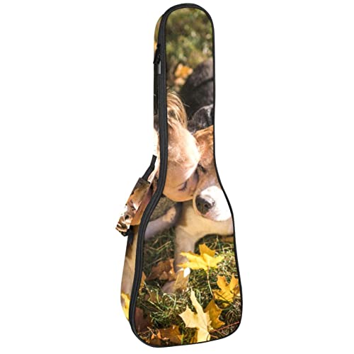 Sac ukulélé ténor étanche et rembourré pour protection concert nomade