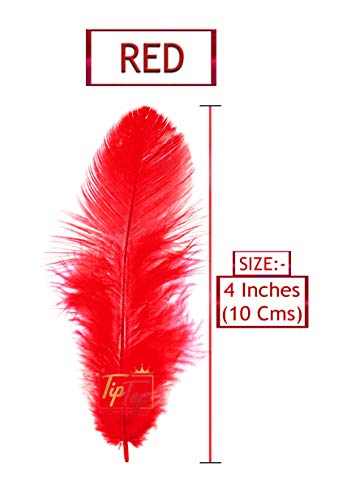 Image of Natural Dyed Feathers 10 cm (80 pieces) (Dark Red)